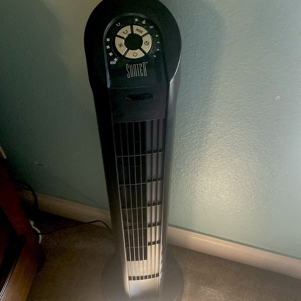 Sunter brand fan, large, black